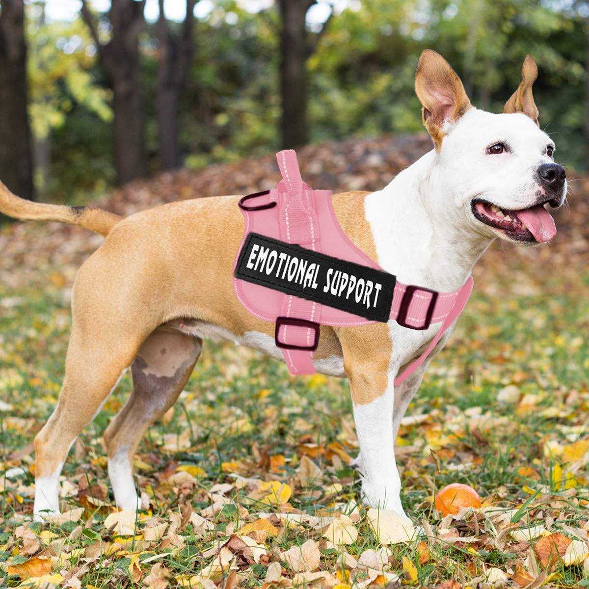Reflective Breathable Adjustable No-Pull Dog Harness D2259