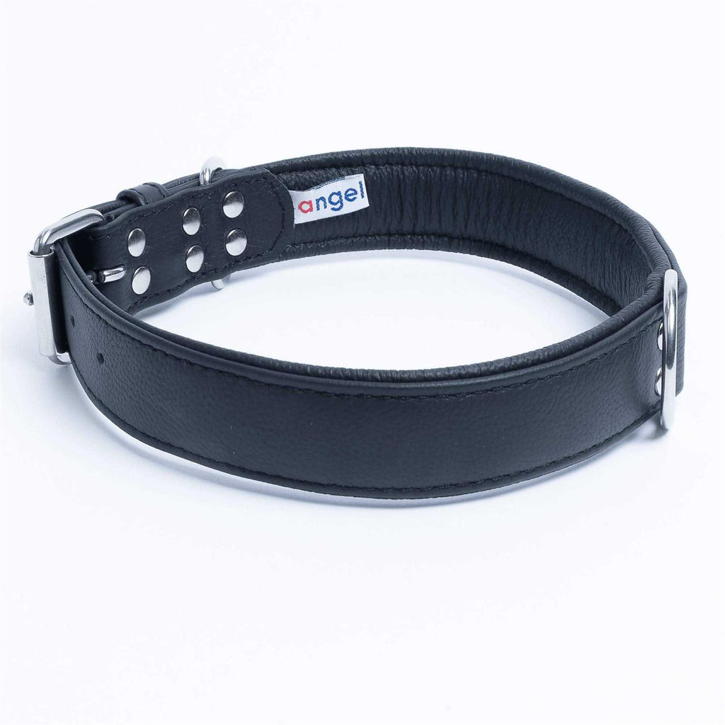 Dog Collar T7855