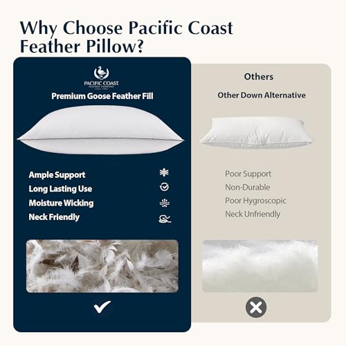 King Size 2 Pack Feather and Down Pillows K9289