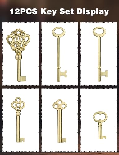 12-Key Universal Skeleton Key Set C321357