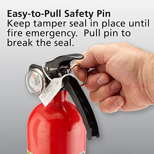 1 Pack Red Multi Purpose Fire Extinguisher 1A10BC B1025