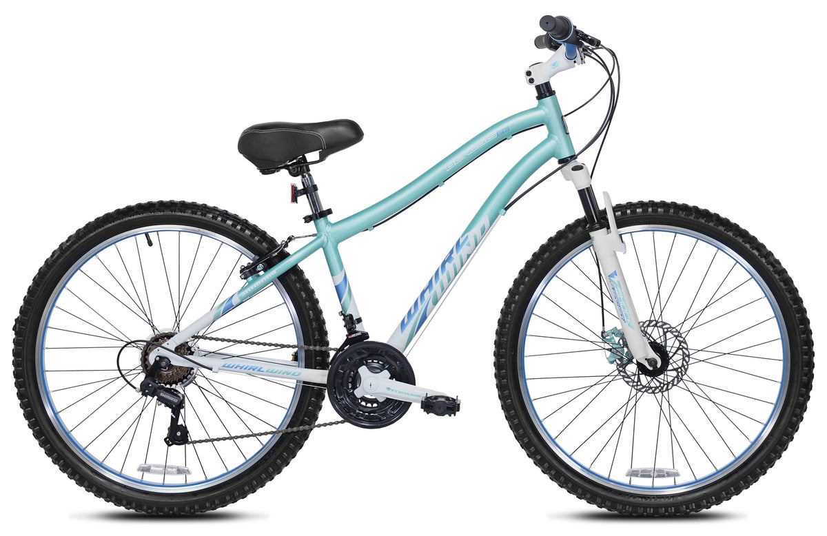 Teal Women's Mountain Bike Y9244