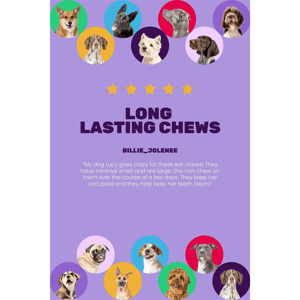 Dog Chews U6685