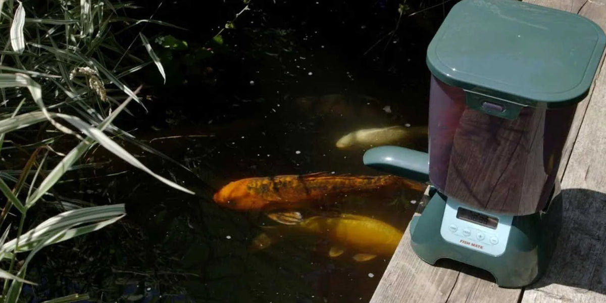 Automatic Pond Fish Feeder, 6.5 lbs. Capacity K35984