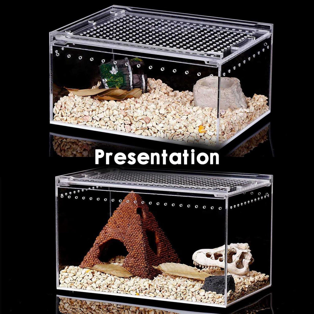 Reptile Terrarium Amphibian Tank Starter Kit H4351