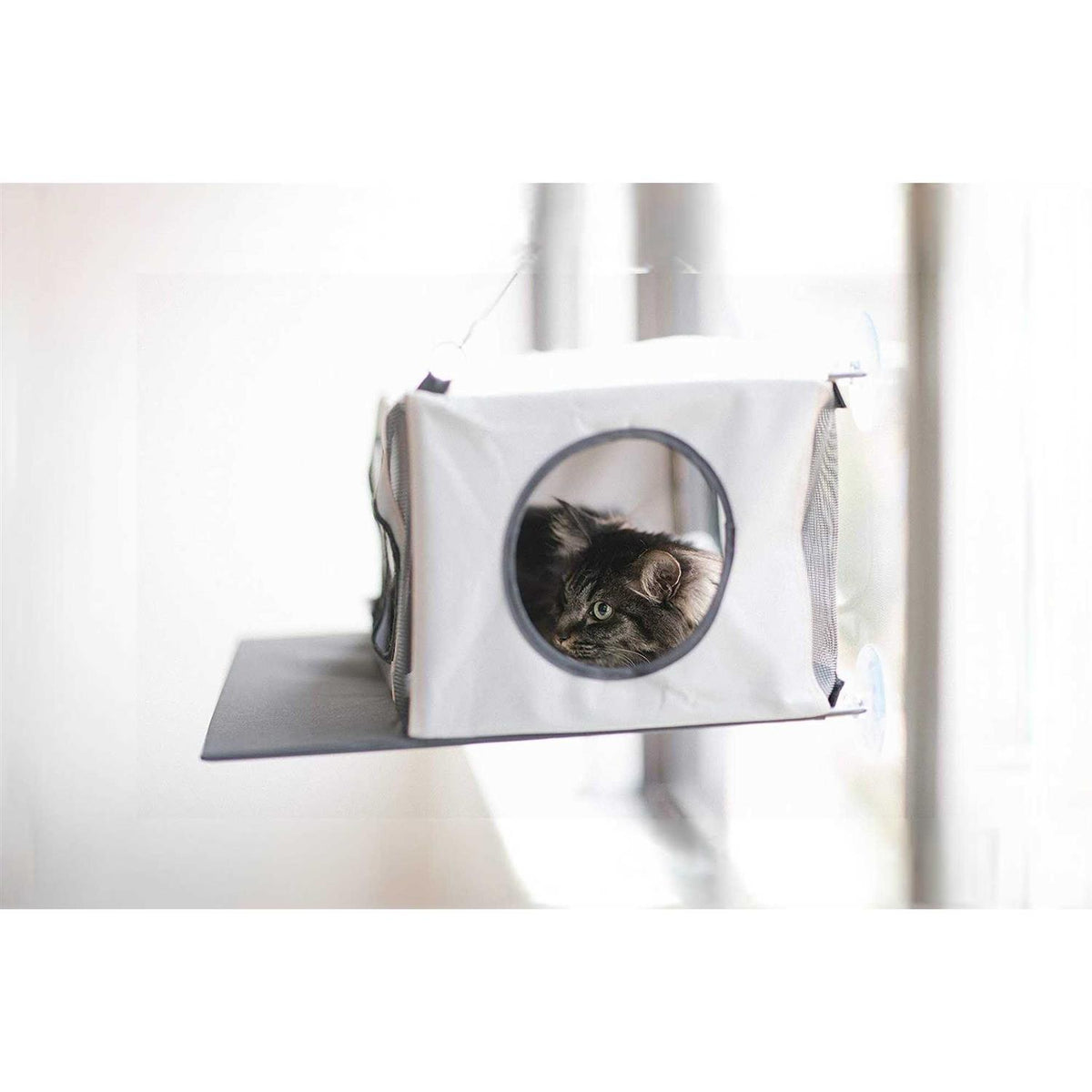 Cat Penthouse O774553