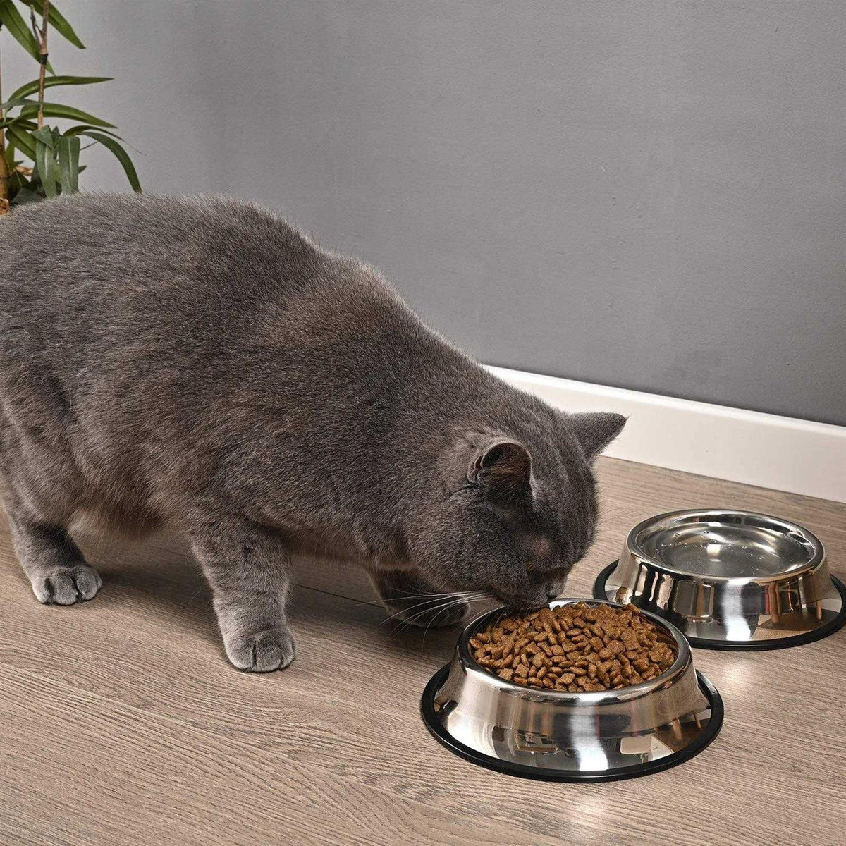 2 Packs Stainless Steel Dog Bowl with Anti-Skid Rubber Base B369