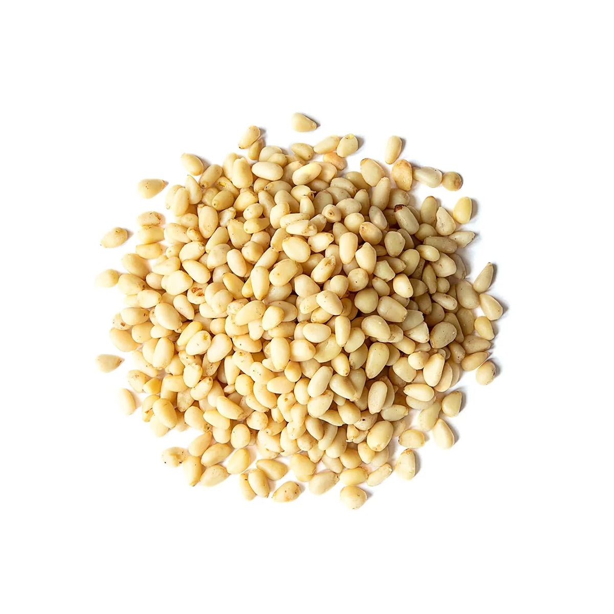 Pine Nuts, 1 Pound — Kosher, Vegan, Raw R12114