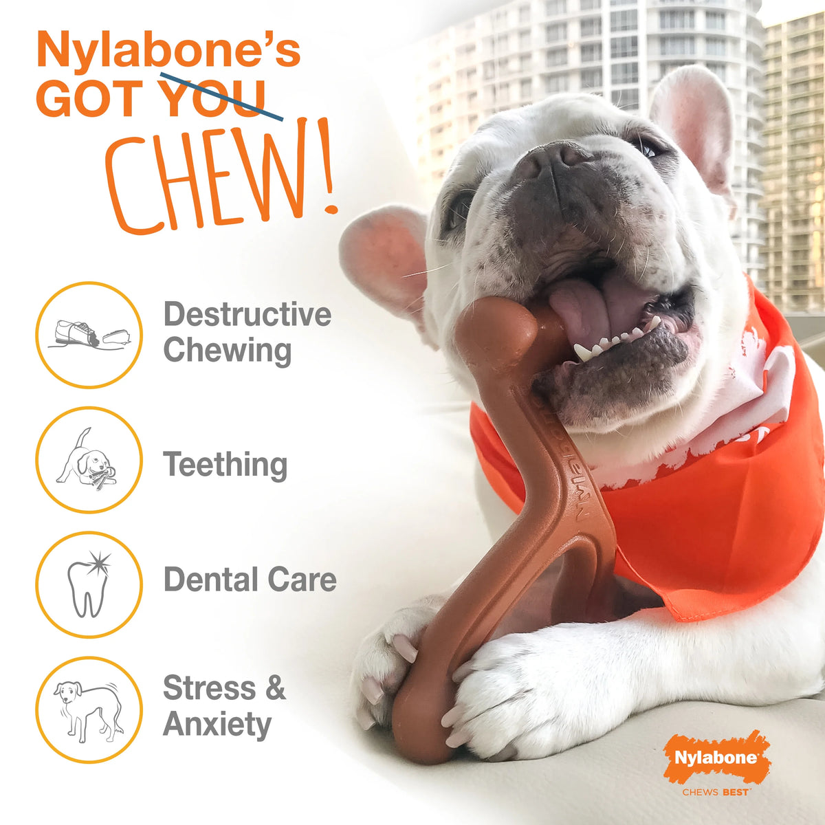 Power Chew Flavored Durable Chew Toy for Dogs X-Large (1 Count) S626