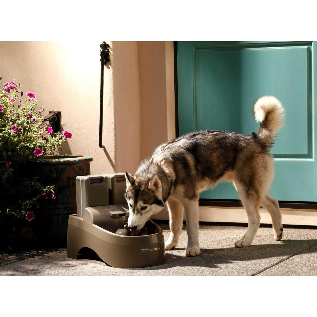 Outdoor Dog Fountain V6767
