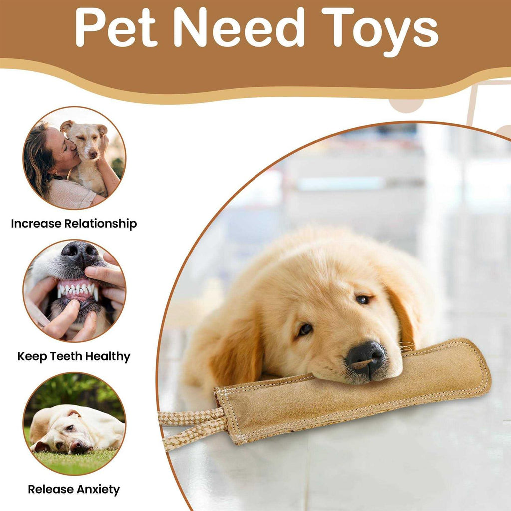 Dura-Fused Leather Dog Toy I748134