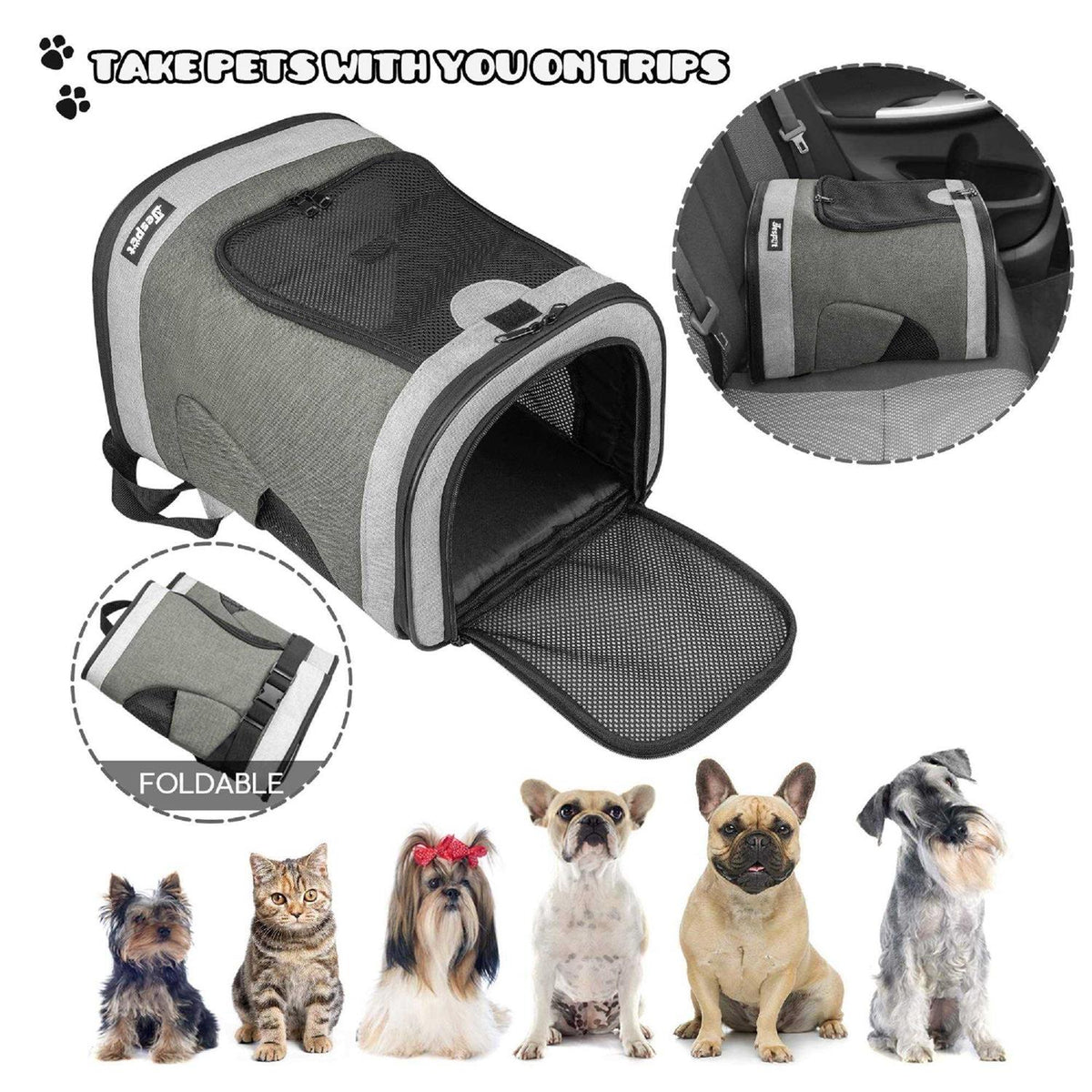 Pet Backpack F819
