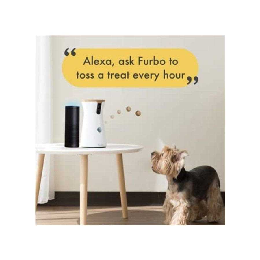 Dog Camera R4991