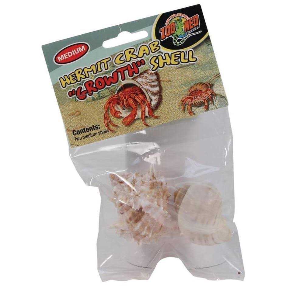 Hermit Crab Growth Shell D52681