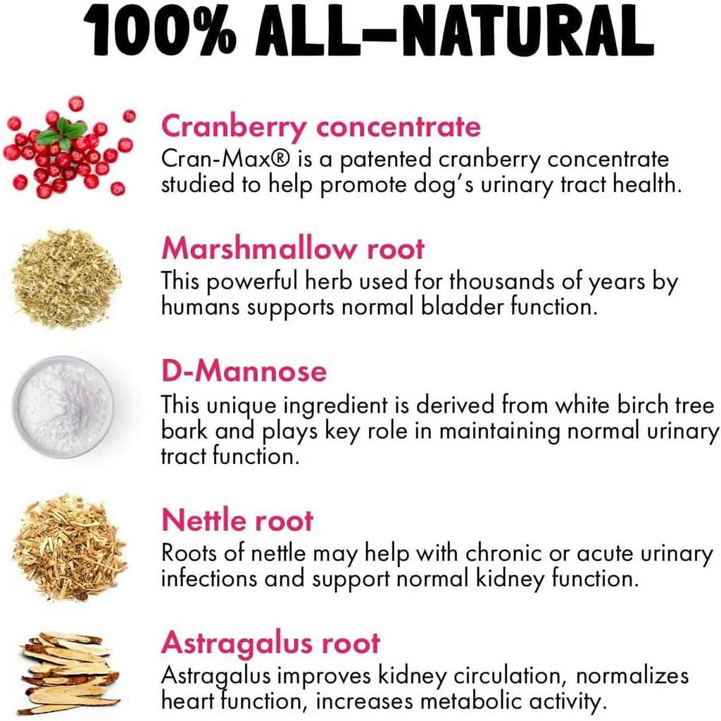 Cranberry UTI Chews for Dogs Y7673