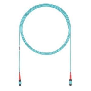 Fiber Optic Network Cable 95 ft C949