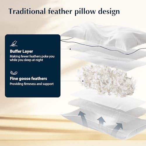 King Size 2 Pack Feather and Down Pillows K9289
