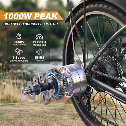 26" 1000W Peak Electric Bike with 48V Removable Li-ion Battery X849