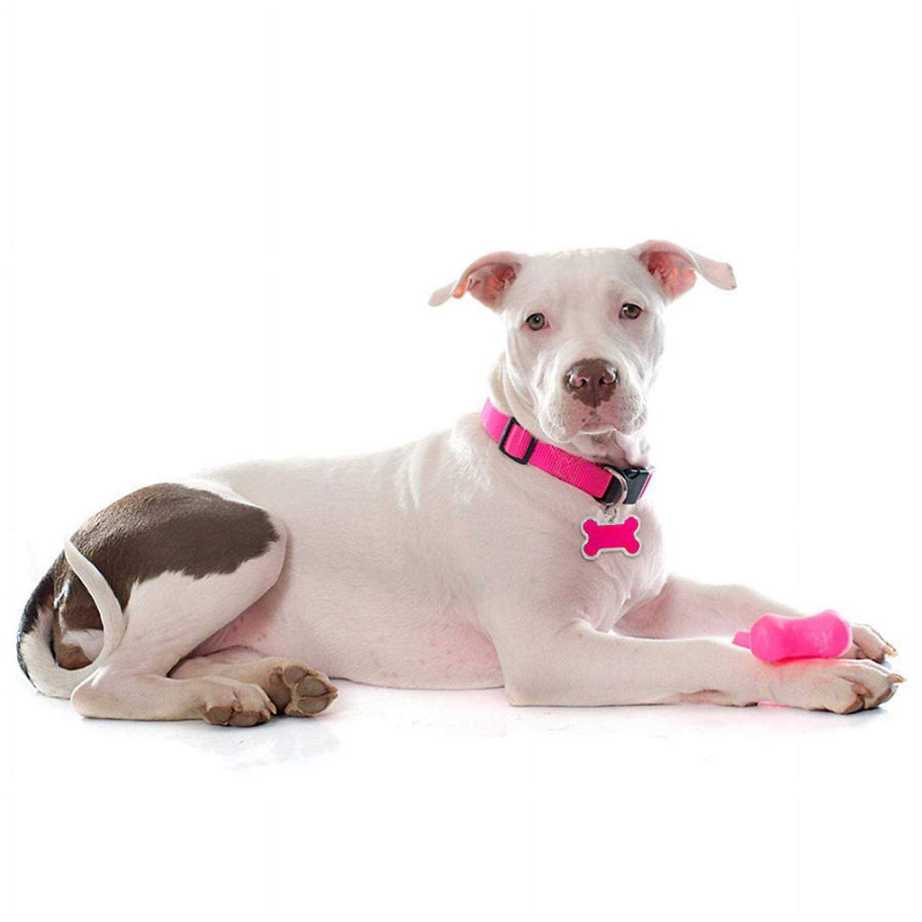 Personalized Dog ID Tag C411995
