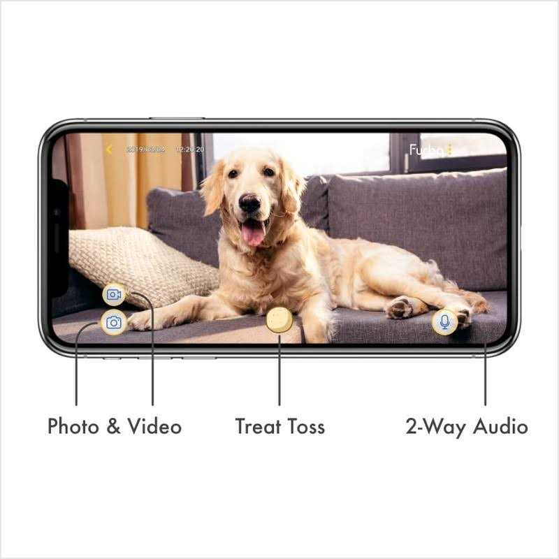 Dog Camera R4991