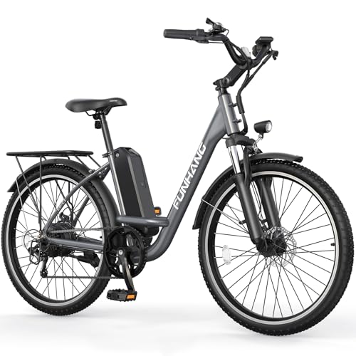 26" 1000W Peak Electric Bike with 48V Removable Li-ion Battery X849