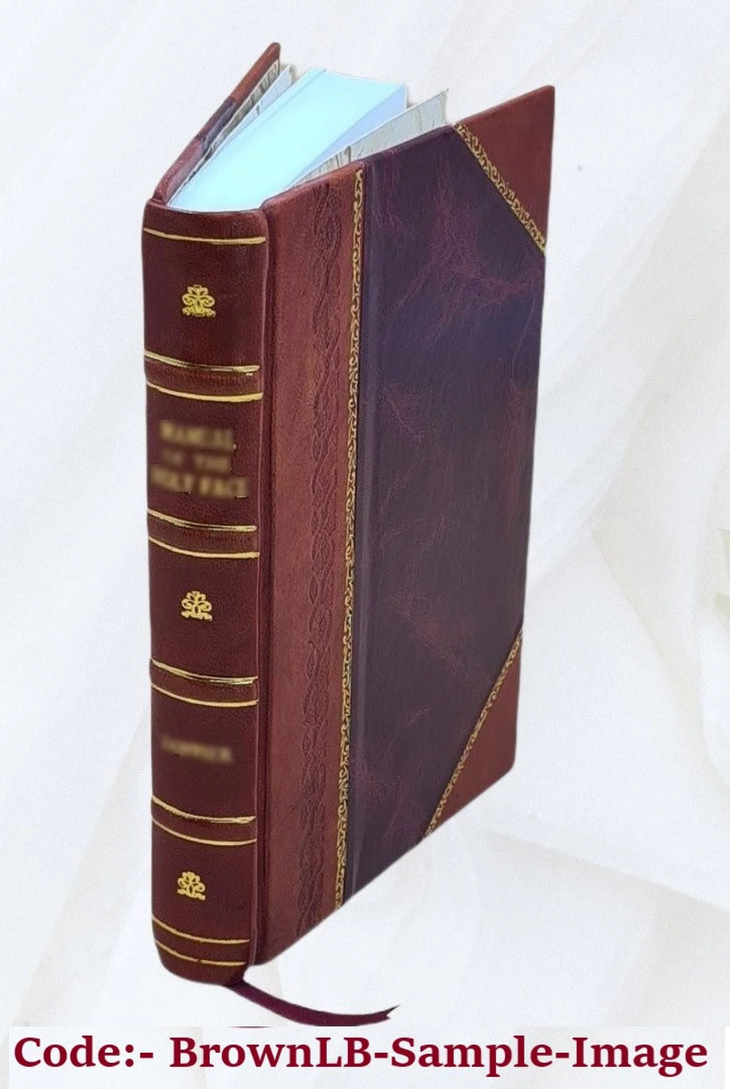 Leather Bound A8617