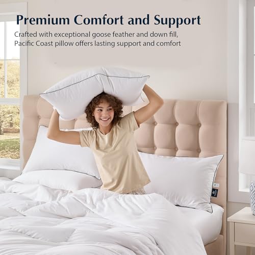 King Size 2 Pack Feather and Down Pillows K9289