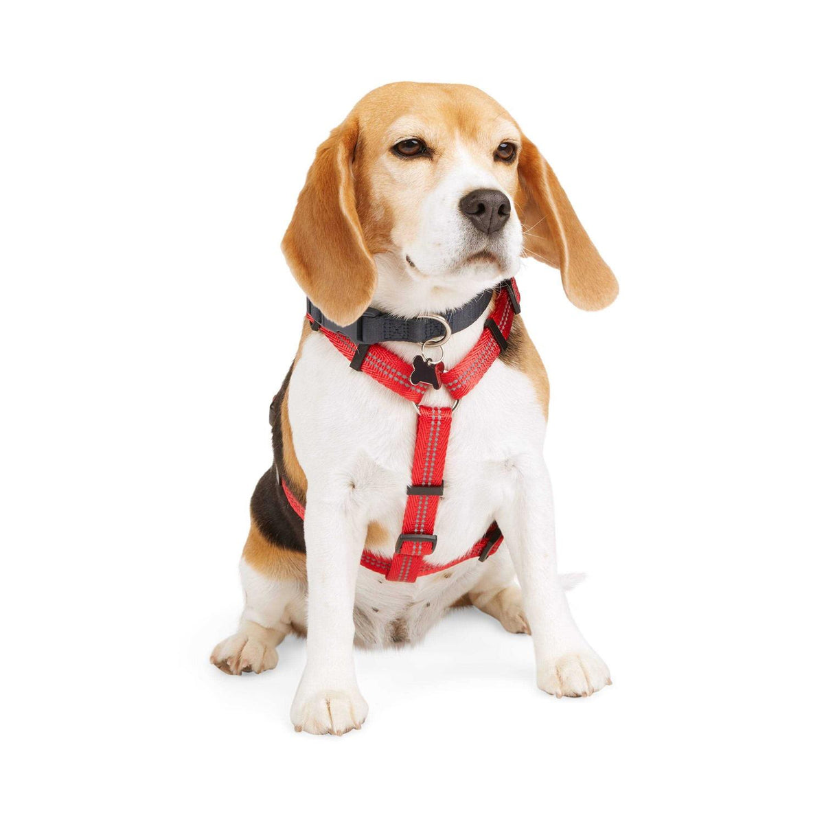 Reflective Dog Harness S970