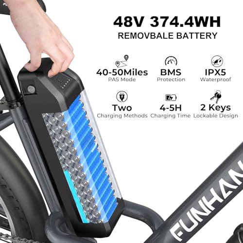 26" 1000W Peak Electric Bike with 48V Removable Li-ion Battery X849