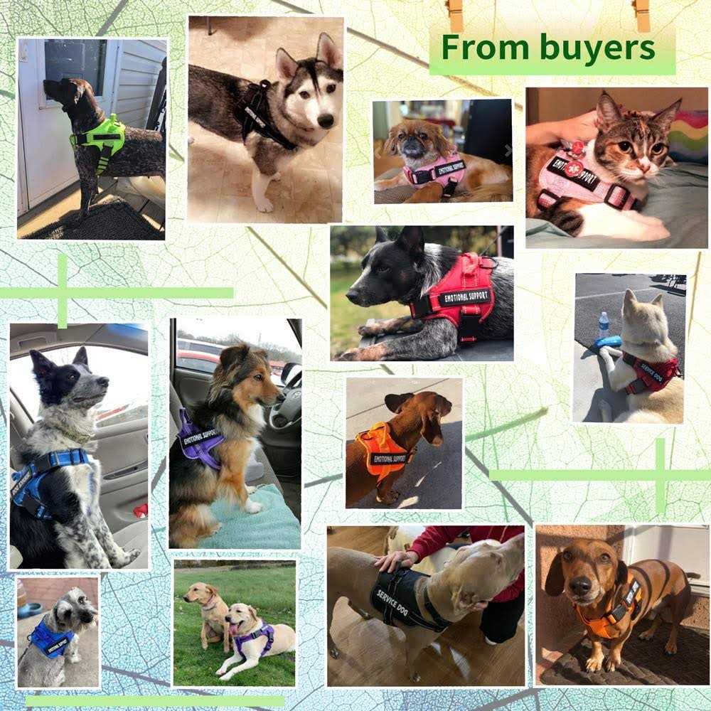Reflective Breathable Adjustable No-Pull Dog Harness D2259