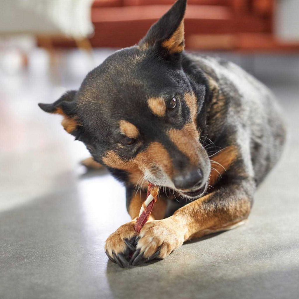Triple Flavor Rawhide Twist Dog Treats E81043