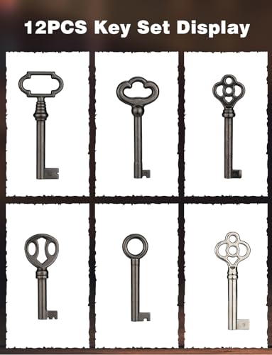 12-Key Universal Skeleton Key Set C321357