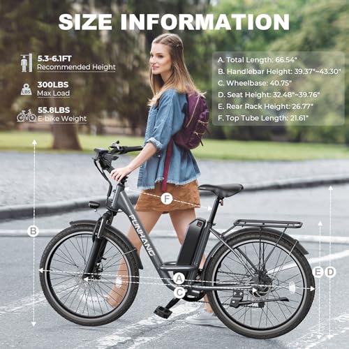 26" 1000W Peak Electric Bike with 48V Removable Li-ion Battery X849
