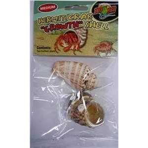 Hermit Crab Growth Shell D52681