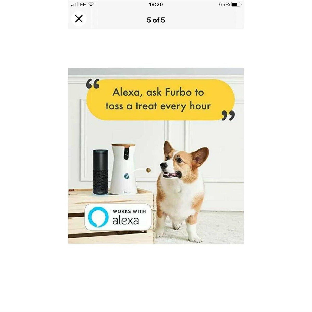 Dog Camera R4991