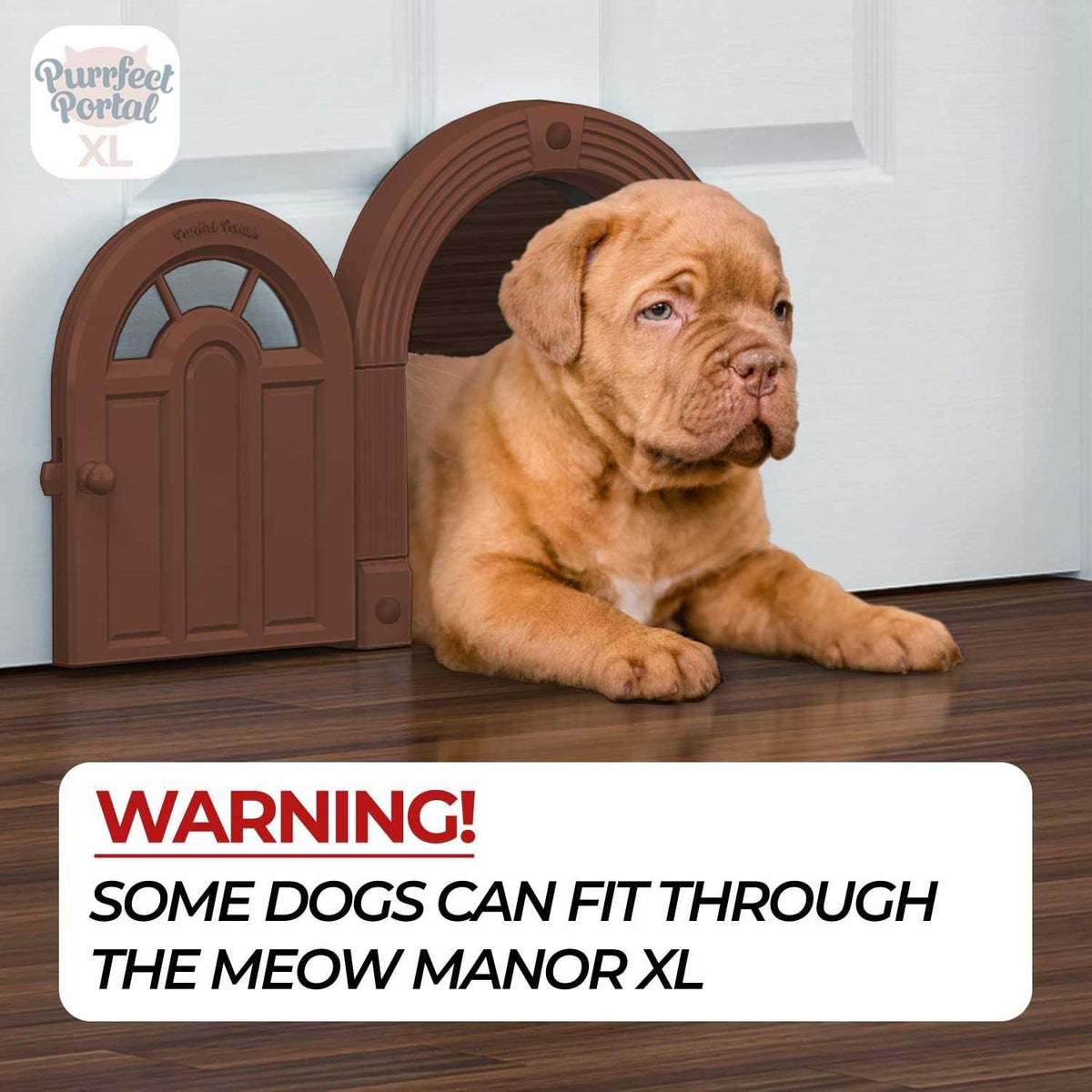 Extra Large No-Flap Cat Door X164385