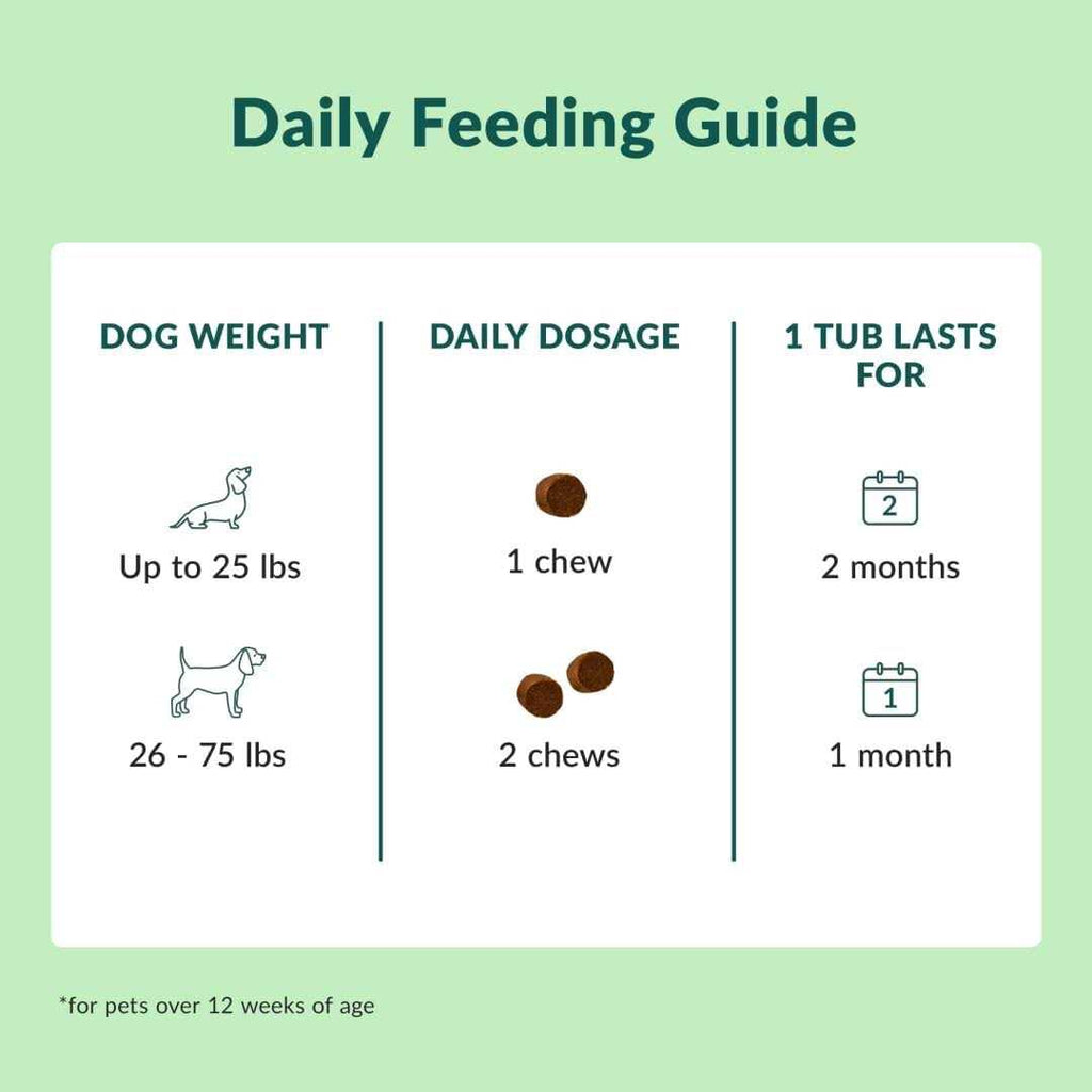 Chewable Dog Hip and Joint Supplement C488