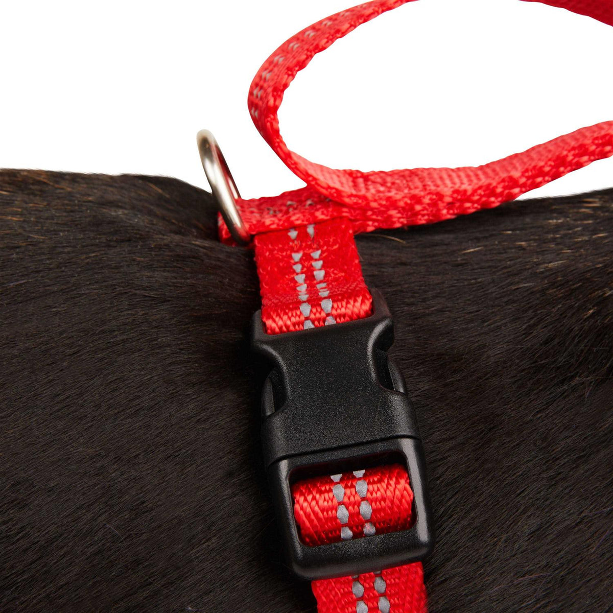 Reflective Dog Harness S970