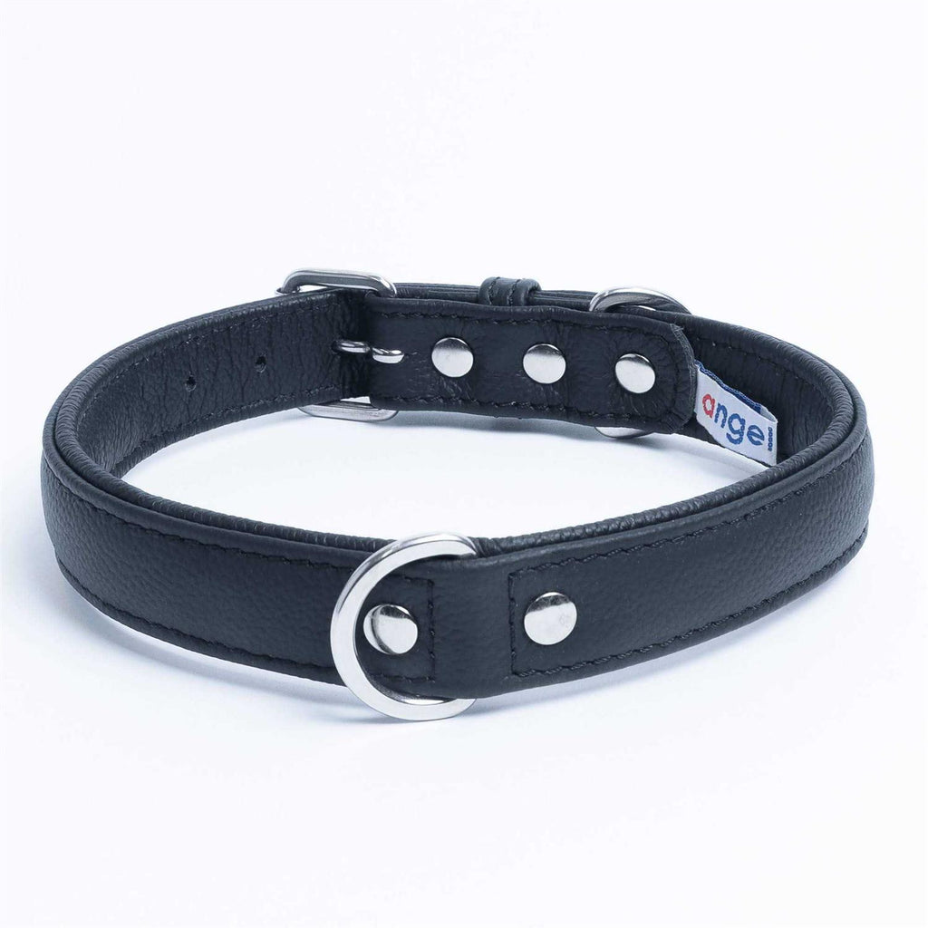 Dog Collar T7855