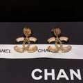 Earrings P504736