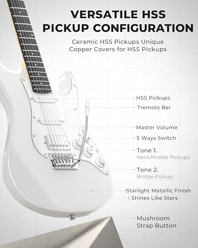39 Inch HSS Pickup Full Size Solid Body Electric Guitar Kit with Amplifier P224230