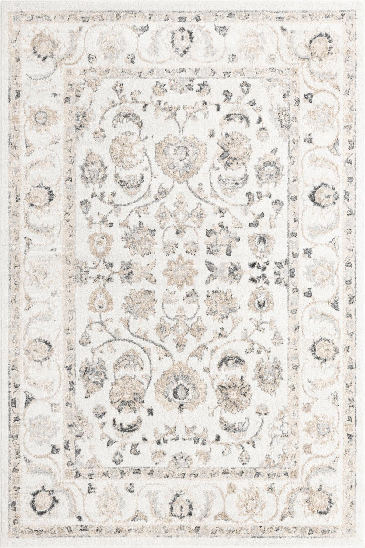 Ivory Traditional Border Rug C26090