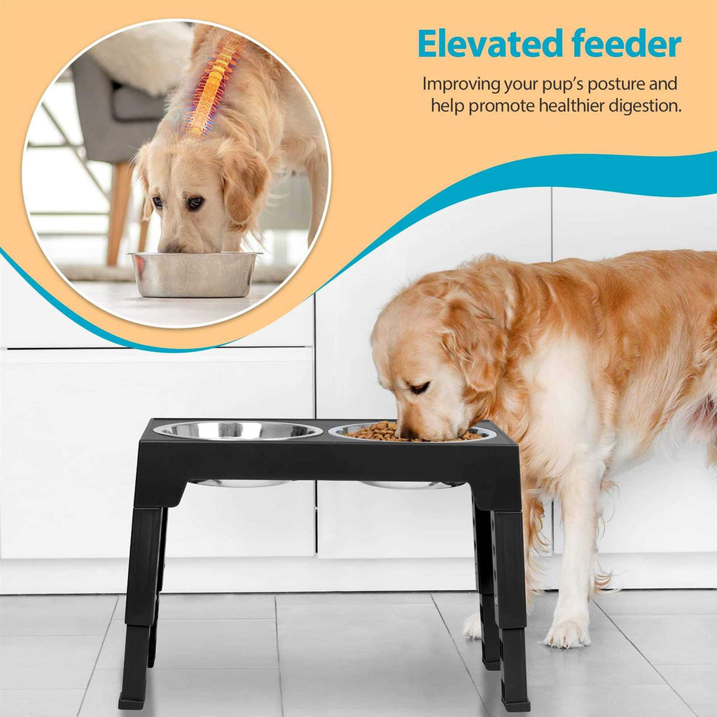 Elevated Dog Bowls with 2 Stainless Steel Bowls T4520