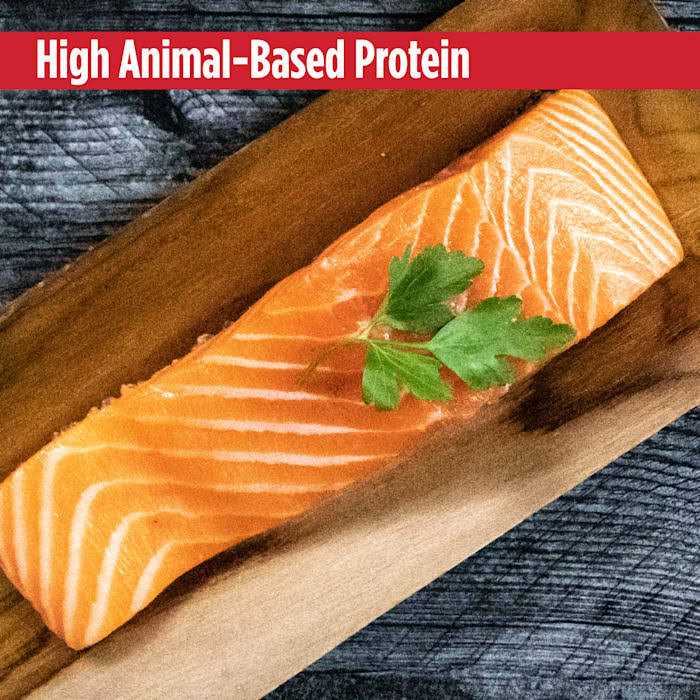 Grain Free Salmon Dog Food M555