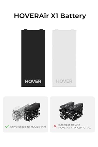 Batteries Accessory Black D30478