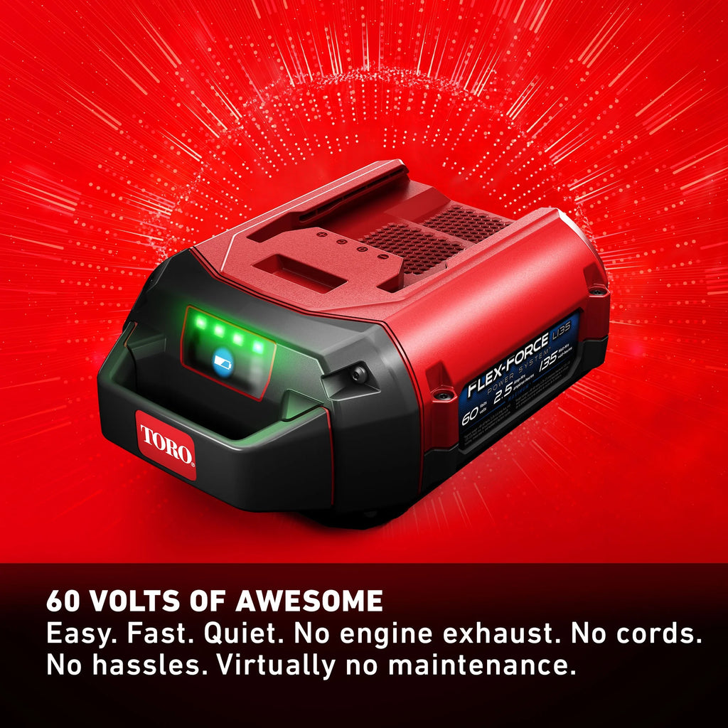 60V 16 Electric Brushless Chainsaw with Battery & Charger B84444