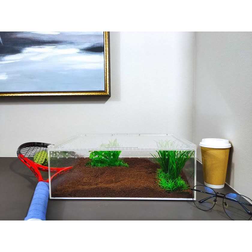 Acrylic Insect & Reptile Terrarium M49782
