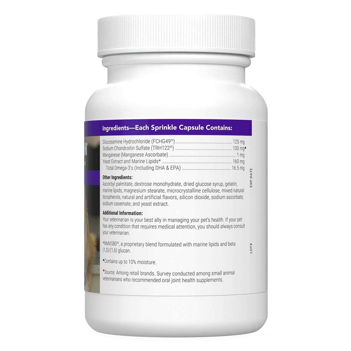 Joint Health Supplement for Senior Cats H278