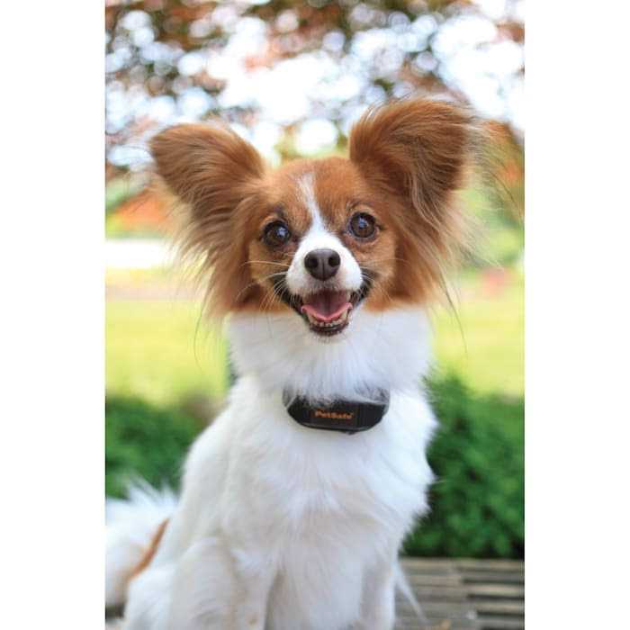 Vibration Bark Control Dog Collar Z2309