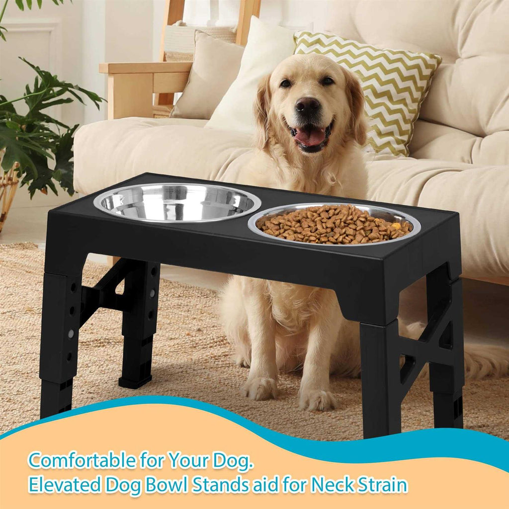 Elevated Dog Bowls with 2 Stainless Steel Bowls T4520